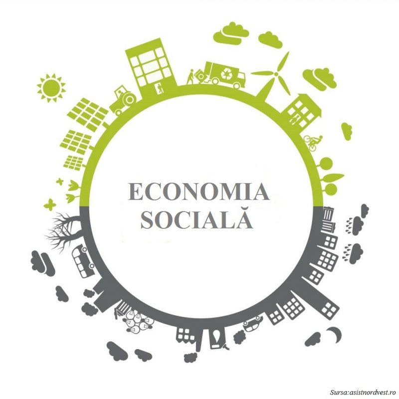economia sociala